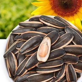 湖北襄陽樊城區湖北恒橋農產品 - 一畝田