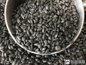 這家炒貨老店五香小油葵和糖皮花生14年手工造,讓你想起兒時味道