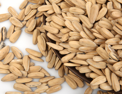 一起找回童年的記憶!看中超聯賽時怎能少了它