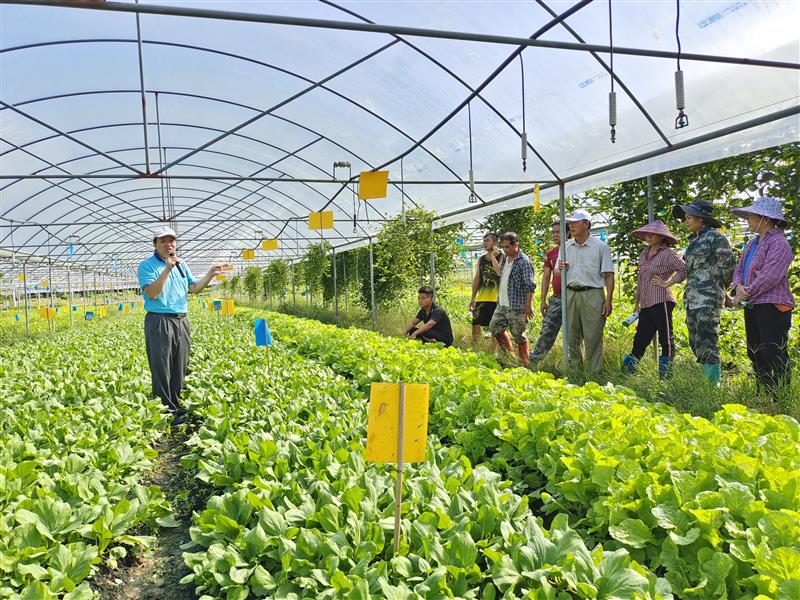 中國熱帶農業科學院 深耕種植技術，媒體報道彰顯創新力量